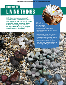 Living Things: p. 225-231 Thumbnail