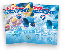 Beast Academy Level 4C books